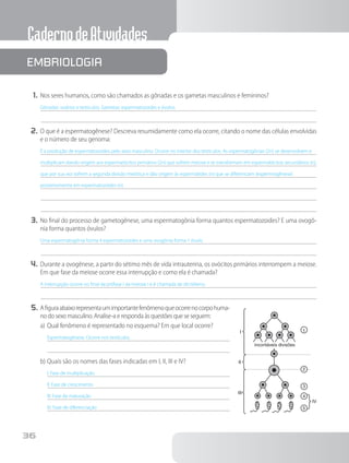 CadernodeAtividades
36
1.	Nos seres humanos, como são chamados as gônadas e os gametas masculinos e femininos?
Gônadas: ovários e testículos. Gametas: espermatozoides e óvulos.
2.	O que é a espermatogênese? Descreva resumidamente como ela ocorre, citando o nome das células envolvidas
e o número de seu genoma:
É a produção de espermatozoides pelo sexo masculino. Ocorre no interior dos testículos. As espermatogônias (2n) se desenvolvem e
multiplicam dando origem aos espermatócitos primários (2n) que sofrem meiose e se transformam em espermatócitos secundários (n),
que por sua vez sofrem a segunda divisão meiótica e dão origem às espermátides (n) que se diferenciam (espermiogênese)
posteriormente em espermatozoides (n).
3.	No final do processo de gametogênese, uma espermatogônia forma quantos espermatozoides? E uma ovogô-
nia forma quantos óvulos?
Uma espermatogônia forma 4 espermatozoides e uma ovogônia forma 1 óvulo.
4.	Durante a ovogênese, a partir do sétimo mês de vida intrauterina, os ovócitos primários interrompem a meiose.
Em que fase da meiose ocorre essa interrupção e como ela é chamada?
A interrupção ocorre no final da prófase I da meiose I e é chamada de dictióteno.
5.	Afiguraabaixorepresentaumimportantefenômenoqueocorrenocorpohuma-
no do sexo masculino. Analise-a e responda às questões que se seguem:
a)	Qual fenômeno é representado no esquema? Em que local ocorre?
Espermatogênese. Ocorre nos testículos.
b)	Quais são os nomes das fases indicadas em I, II, III e IV?
I: Fase de multiplicação
II: Fase de crescimento
III: Fase de maturação
IV: Fase de diferenciação
Embriologia
1
2
incontáveis divisões
I
II
III
3
IV
4
5
 