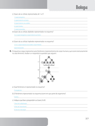 Biologia
37
c)	Quais são as células representadas de 1 a 5?
1: espermatogônia
2: espermatócito primário
3: espermatócito secundário
4: espermátides
5: espermatozoides
d)	Quais são as células diploides representadas no esquema?
1e 2, espermatogônia e espermatócito primário
e)	Quais são as células haploides representadas no esquema?
3, 4 e 5, espermatócito secundário, espermátides,
espermatozoides.
6.	O esquema a seguir representa outro fenômeno importantíssimo do corpo humano, que ocorre exclusivamente
no sexo feminino. Analise-o e responda às questões que seguem:
I
II
III
1
2
3
4
5
numerosas mitoses
a)	Qual fenômeno é representado no esquema?
Ovulogênese.
b)	O fenômeno representado no esquema ocorre em que parte do organismo?
Ovários.
c)	IndiqueaquefasescorrespondemaschavesI,IIeIII:
I: fase de multiplicação
II: fase de crescimento
III: fase de maturação
 