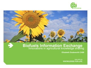Biofuels Information Exchange Innovations in agricultural knowledge sharing Elizabeth Dodsworth CABI  