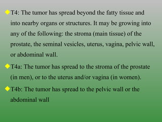 T4: The tumor has spread beyond the fatty tissue and
into nearby organs or structures. It may be growing into
any of the following: the stroma (main tissue) of the
prostate, the seminal vesicles, uterus, vagina, pelvic wall,
or abdominal wall.
T4a: The tumor has spread to the stroma of the prostate
(in men), or to the uterus and/or vagina (in women).
T4b: The tumor has spread to the pelvic wall or the
abdominal wall
 