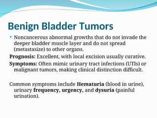CA BLADDER PPT PRESENTATION OF BLADDER CA | PPT