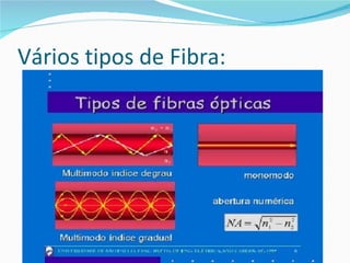 Vários tipos de Fibra: 