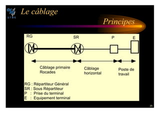 25
,E C¢BLAGE
0RINCIPES
RG SR P E
Câblage primaire
Rocades
Câblage
horizontal
Poste de
travail
RG : Répartiteur Général
SR : Sous Répartiteur
P : Prise du terminal
E : Equipement terminal
 