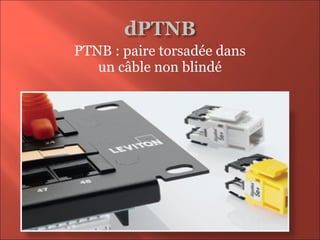 PTNB : paire torsadée dans
un câble non blindé
 