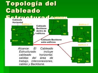 Topología del Cableado Estructurado 