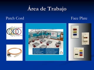 Área de Trabajo
Patch Cord Face Plate
 