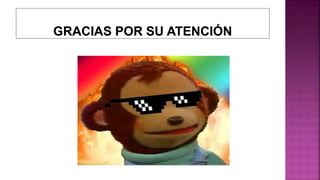 Cableado y-conectores-de-red.(belki lagos)