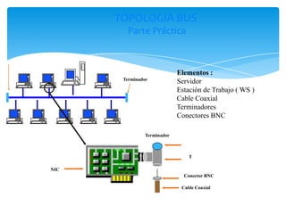 TOPOLOGIA BUS
        Parte Práctica



                            Elementos :
       Terminador
                            Servidor
                            Estación de Trabajo ( WS )
                            Cable Coaxial
                            Terminadores
                            Conectores BNC

               Terminador



                                T

NIC
                              Conector BNC

                             Cable Coaxial
 