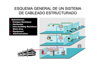 ESQUEMA GENERAL DE UN SISTEMA
DE CABLEADO ESTRUCTURADO
Work Area
Subsistemas
Campus Backbone
Horizontal
Intra-building Backbone
Equipment
Administration
TC
TC
WA
WA
ER
 