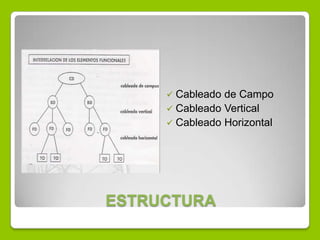 ESTRUCTURA
 Cableado de Campo
 Cableado Vertical
 Cableado Horizontal
 
