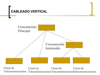 CABLEADO VERTICAL
Crosconexión
Principal
Crosconexión
Intermedia
Closet de
Telecomunicaciones
Closet de
Telecomunicaciones
Closet de
Telecomunicaciones
Closet de
Telecomunicaciones
 