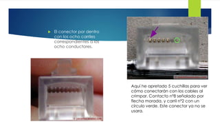  El conector por dentro 
con los ocho carriles 
correspondientes a los 
ocho conductores. 
Aquí he apretado 5 cuchillas para ver 
cómo conectarán con los cables al 
crimpar. Contacto nº8 señalado por 
flecha morada, y carril nº2 con un 
círculo verde. Este conector ya no se 
usara. 
 