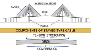 18
COMPONENTS OF STAYED-TYPE CABLE
 