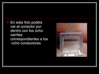 En esta foto podéis  ver el conector por  dentro con los ocho  carriles  correspondientes a los  ocho conductores   