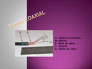 CABLE COAXIAL A: Cubierta protectora de plásticoB: Malla de cobreC: AislanteD: Núcleo de cobre 