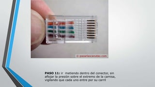 PASO 11: ir metiendo dentro del conector, sin 
aflojar la presión sobre el extremo de la camisa, 
vigilando que cada uno entre por su carril 
 
