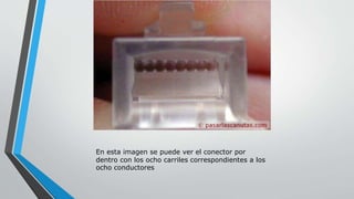 En esta imagen se puede ver el conector por 
dentro con los ocho carriles correspondientes a los 
ocho conductores 
 