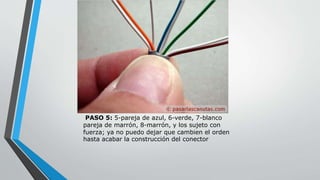 PASO 5: 5-pareja de azul, 6-verde, 7-blanco 
pareja de marrón, 8-marrón, y los sujeto con 
fuerza; ya no puedo dejar que cambien el orden 
hasta acabar la construcción del conector 
 