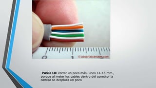 PASO 10: cortar un poco más, unos 14-15 mm., 
porque al meter los cables dentro del conector la 
camisa se desplaza un poco 
 