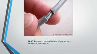 PASO 2: cuando está debilitada, tiro y separo, 
dejando al descubierto 
 