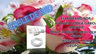 Cable de red