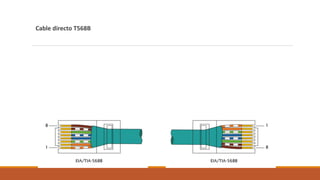 Cable directo T568B
 