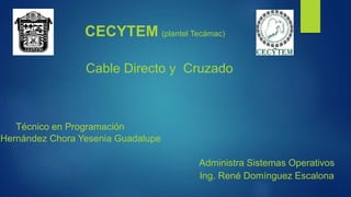 CECYTEM (plantel Tecámac)
Administra Sistemas Operativos
Ing. René Domínguez Escalona
Cable Directo y Cruzado
Técnico en Programación
Hernández Chora Yesenia Guadalupe
 