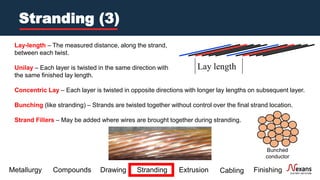 Cable Manufacturing 101.pdf