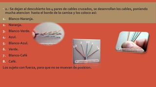  2.- Se dejan al descubierto los 4 pares de cables cruzados, se desenrollan los cables, poniendo
mucha atencion hasta el borde de la camisa y los coloco asi:
1. Blanco-Naranja.
2. Naranja.
3. Blanco-Verde.
4. Azul.
5. Blanco-Azul.
6. Verde.

7. Blanco-Café
8. Café.
Los sujeto con fuerza, para que no se muevan de posicion.

 