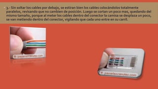  3.- Sin soltar los cables por debajo, se estiran bien los cables colocándolos totalmente
paralelos, revisando que no cambien de posición. Luego se cortan un poco mas, quedando del
mismo tamaño, porque al meter los cables dentro del conector la camisa se desplaza un poco,
se van metiendo dentro del conector, vigilando que cada uno entre en su carril.

 