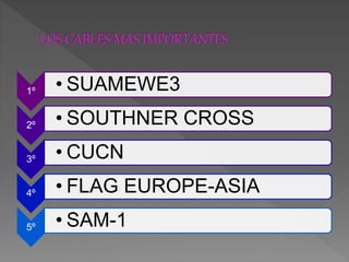 1º • SUAMEWE3
2º • SOUTHNER CROSS
3º • CUCN
4º • FLAG EUROPE-ASIA
5º • SAM-1
 