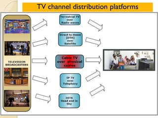 TV channel distribution platforms
 