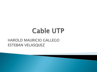 Cable UTP HAROLD MAURICIO GALLEGO ESTEBAN VELASQUEZ 