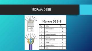 NORMA 568B
 