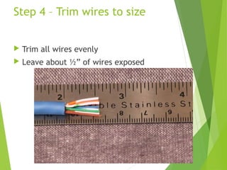 Step 4 – Trim wires to size


   Trim all wires evenly
   Leave about ½” of wires exposed
 