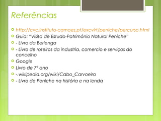 Referências
 http://cvc.instituto-camoes.pt/excvirt/peniche/percurso.html
 Guia: “Visita de Estudo-Património Natural Peniche”
 - Livro da Berlenga
 - Livro de roteiros da industria, comercio e serviços do
concelho
 Google
 Livro de 7º ano
 -.wikipedia.org/wiki/Cabo_Carvoeiro
 - Livro de Peniche na história e na lenda
 