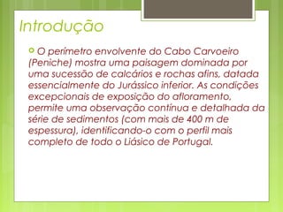 Introdução
 O perímetro envolvente do Cabo Carvoeiro
(Peniche) mostra uma paisagem dominada por
uma sucessão de calcários e rochas afins, datada
essencialmente do Jurássico inferior. As condições
excepcionais de exposição do afloramento,
permite uma observação contínua e detalhada da
série de sedimentos (com mais de 400 m de
espessura), identificando-o com o perfil mais
completo de todo o Liásico de Portugal.
 