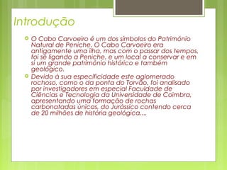 Introdução
 O Cabo Carvoeiro é um dos símbolos do Património
Natural de Peniche. O Cabo Carvoeiro era
antigamente uma ilha, mas com o passar dos tempos,
foi se ligando a Peniche. e um local a conservar e em
si um grande património histórico e também
geológico.
 Devido à sua especificidade este aglomerado
rochoso, como o da ponta do Torvão, foi analisado
por investigadores em especial Faculdade de
Ciências e Tecnologia da Universidade de Coimbra,
apresentando uma formação de rochas
carbonatadas únicas, do Jurássico contendo cerca
de 20 milhões de história geológica....
 