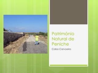 Património Natural de Peniche Cabo Carvoeiro 