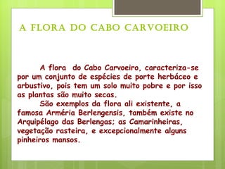 A flora  do Cabo Carvoeiro, caracteriza-se por um conjunto de espécies de porte herbáceo e arbustivo, pois tem um solo muito pobre e por isso as plantas são muito secas. São exemplos da flora ali existente, a famosa Arméria Berlengensis, também existe no Arquipélago das Berlengas; as Camarinheiras, vegetação rasteira, e excepcionalmente alguns pinheiros mansos. A Flora do Cabo Carvoeiro 