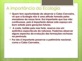 A importância da Ecologia Quem tem oportunidade de observar o Cabo Carvoeiro, vê que a Ecologia não é uma atitude tomada pelos moradores da nossa terra. Era importante que isso não continuasse, pois é importante deixar este espaço em bom estado para gerações futuras.  A costa, batida pelo mar forte, reserva-nos um autêntico espectáculo da natureza. Podemos observar alguns aspectos da evolução das formações rochosas na península. Por isto é importante preservar o património nacional , como o Cabo Carvoeiro. 