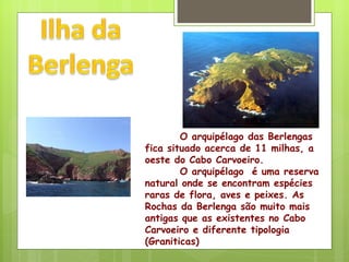 O arquipélago das Berlengas fica situado acerca de 11 milhas, a oeste do Cabo Carvoeiro. O arquipélago  é uma reserva natural onde se encontram espécies raras de flora, aves e peixes. As Rochas da Berlenga são muito mais antigas que as existentes no Cabo Carvoeiro e diferente tipologia (Graniticas) 