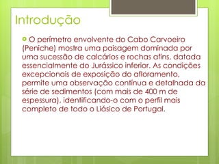 Introdução  O perímetro envolvente do Cabo Carvoeiro (Peniche) mostra uma paisagem dominada por uma sucessão de calcários e rochas afins, datada essencialmente do Jurássico inferior. As condições excepcionais de exposição do afloramento, permite uma observação contínua e detalhada da série de sedimentos (com mais de 400 m de espessura), identificando-o com o perfil mais completo de todo o Liásico de Portugal. 