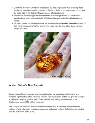 2/8
Over time, the resin turned into a fossil and put into a rigid state thus encasing these
fossils in it. Another interesting feature of Amber is that it is old beyond any doubt, and
the exact age of the Ostrich Plaque exceeds all expectations.
Most of the amber is approximately between 30 million years old, but the earliest
samples have been estimated to be 320 plus million years old of the Carboniferous
period.
People consider it a privilege to have the smallest piece of Amber stone in the palm of
their hand because it is Earth’s memory, its voice from the time when there were no
people on Earth.
Amber: Nature's Time Capsule
Preservation of well-preserved specimens of ancient life has also proved to be one of
Amber’s significant qualities. This is a process called inclusions and let me give an example:
A mosquito being caught in a drop of tree sap and thus, being frozen in time, in the
Cretaceous, around 100 million years ago.
The body of the mosquito was entombed in the resin and as this resin toughened over
millions of years the dead insect was extremely well preserved and it offered a rare window
into the prehistoric world of life.
 