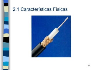 2.1 Características Físicas




                              12
 