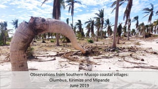 Observations from Southern Mucojo coastal villages:
Olumbua, Kirimize and Mipande
June 2019
 