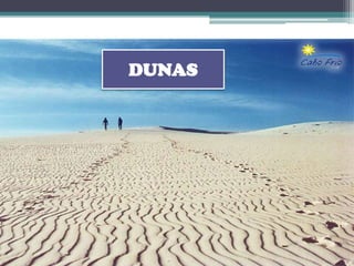 DUNAS
 
