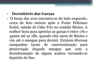 • Dormitório das Garças
• O berço das aves encontra-se do lado esquerdo,
cerca de 800 metros após a Ponte Feliciano
Sodré, saindo de Cabo Frio no sentido Búzios. A
melhor hora para apreciar as garças é entre 17h e
45min até as 18h, quando elas saem de Búzios e
vão até o mangue para dormir. Existem diversas
campanhas locais de conscientização para
preservação daquele mangue que com a
desinformação de alguns acabou tornando-se
depósito de lixo.
 