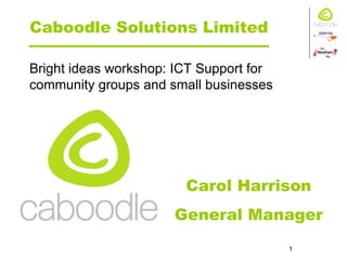 Caboodle Solutions Limited Carol Harrison General Manager Bright ideas workshop: ICT Support for community groups and small businesses 