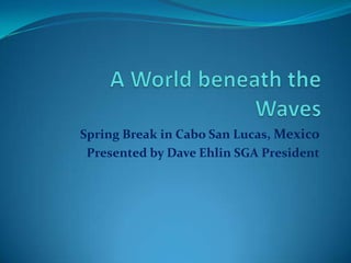 A World beneath theWaves Spring Break in Cabo San Lucas, Mexico Presented by Dave Ehlin SGA President 